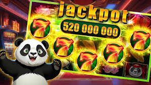 55bet